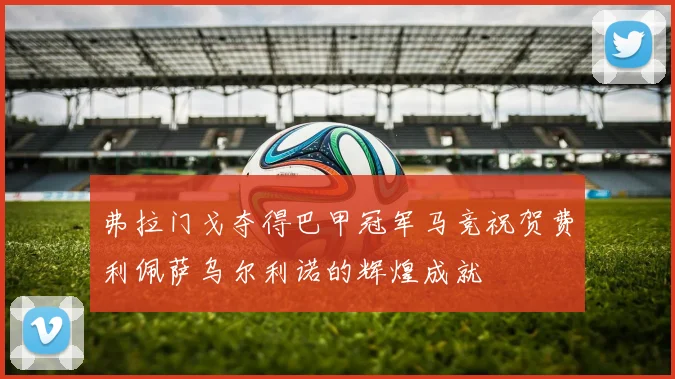 弗拉门戈夺得巴甲冠军马竞祝贺费利佩萨乌尔利诺的辉煌成就